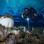 Výprava na Antarktidu: Senzační zážitek Anny Vesanenové