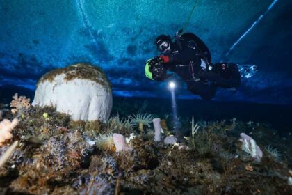 Výprava na Antarktidu: Senzační zážitek Anny Vesanenové