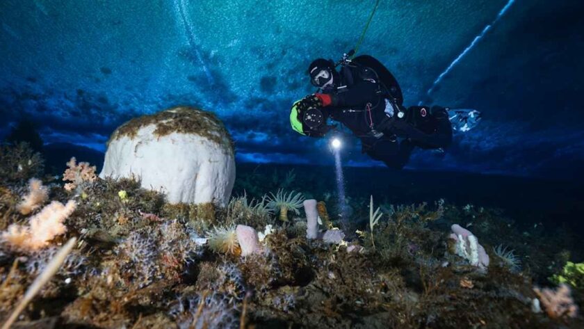 Výprava na Antarktidu: Senzační zážitek Anny Vesanenové