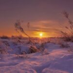 Zimní slunovrat: Nejkrátší den v roce