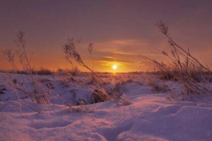 Zimní slunovrat: Nejkrátší den v roce