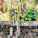 Životní cyklus kobylek: Fascinující úsilí o zachování bezpečí