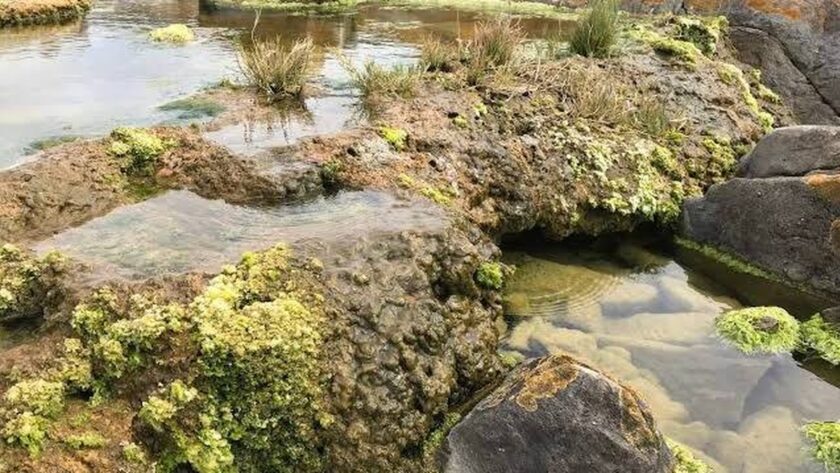 Živoucí skály v Jižní Africe, které mohou pomoci lidstvu