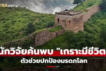 Živý štít na Velké čínské zdi: Přírodní ochrana klenotu světového dědictví