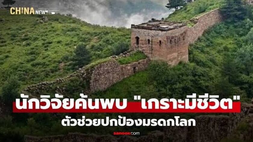 Živý štít na Velké čínské zdi: Přírodní ochrana klenotu světového dědictví