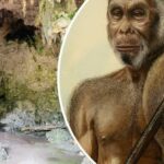 Zmizel "Hobit": Příčina vymření Homo floresiensis