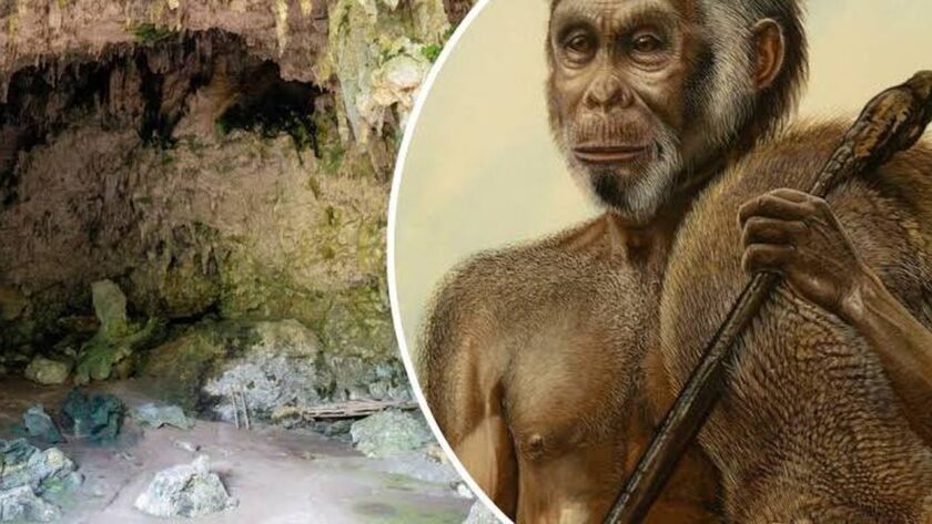 Zmizel "Hobit": Příčina vymření Homo floresiensis