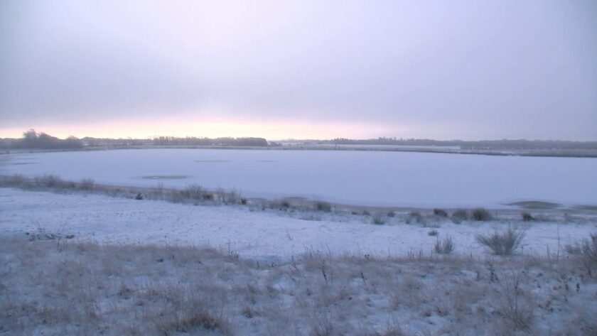 Co dělají ptáci, když vše zamrzne?