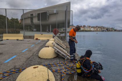 El Puerto vrací život mořské biodiversitě na molu v Albaredě