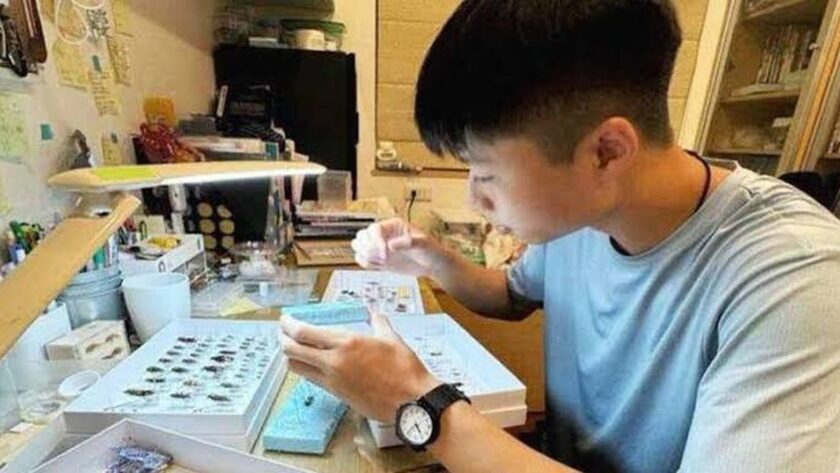Lin Yu-Chen: Mladý entomolog z Jiayi, který se rozhodl pro studium na Zhongxing University