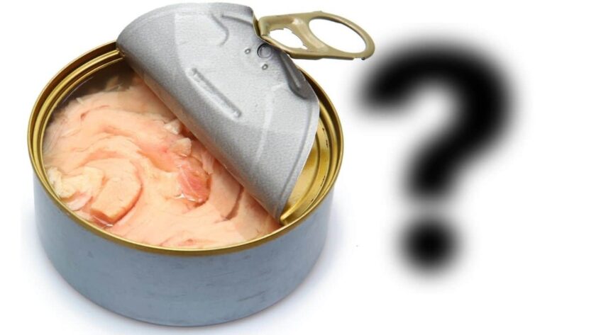 Nová studie odhaluje problém v průmyslu konzervovaného tuňáka