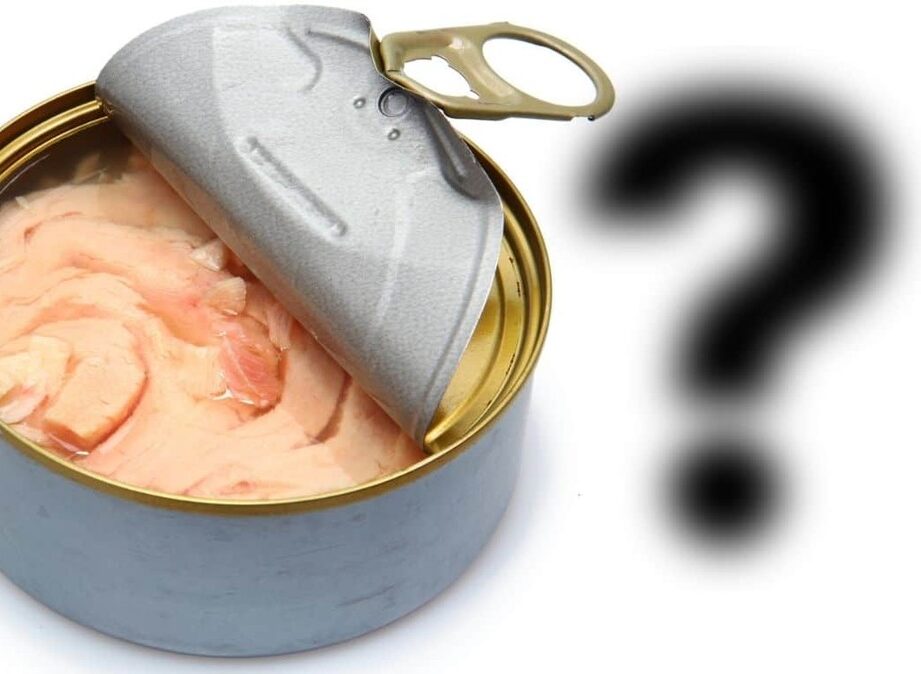 Nová studie odhaluje problém v průmyslu konzervovaného tuňáka