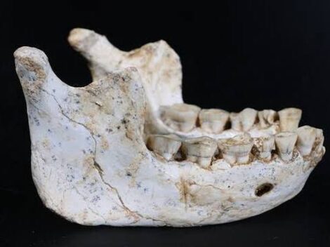 Nová zjištění o původu člověka z Maroka