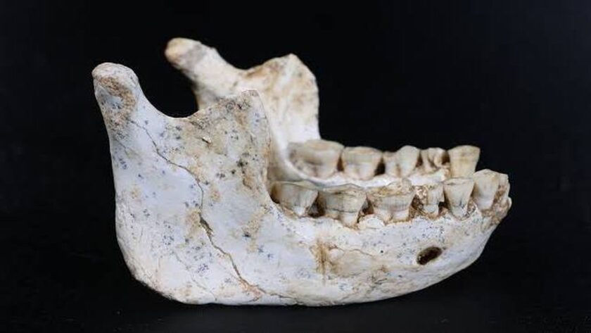 Nová zjištění o původu člověka z Maroka