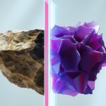 Nové pravidlo v biologii: Výhodná nestabilita (SAI)