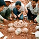 Odkrytí dinosaurích vajec: Klíč k pochopení evoluce ptáků