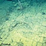 Rádi známe tajemství skrytá hluboko v oceánu