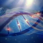 Univerzální křivka tepelných výkonů: Jak teplota ovlivňuje všechny živé organismy