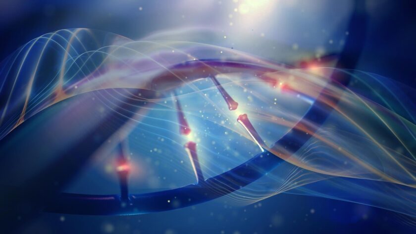 Univerzální křivka tepelných výkonů: Jak teplota ovlivňuje všechny živé organismy