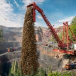 Uvolnění divokých vos v amerických lesích jako reakce na invazi brouka