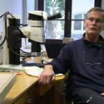 Výzkum mravenců: Z návštěvy u "Pána mravenců" v Görlitz