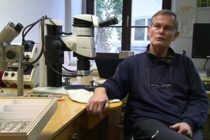 Výzkum mravenců: Z návštěvy u "Pána mravenců" v Görlitz