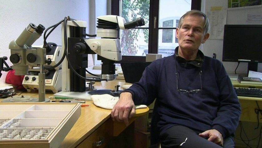 Výzkum mravenců: Z návštěvy u "Pána mravenců" v Görlitz