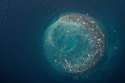 Život na Plastovém Odpadu v Tichém Oceánu