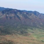 Životní prostředí: Úmrtí stromů způsobené kůrovcem se více než zdvojnásobilo po druhý rok v řadě