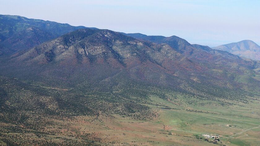 Životní prostředí: Úmrtí stromů způsobené kůrovcem se více než zdvojnásobilo po druhý rok v řadě
